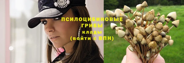 а пвп мука Кодинск