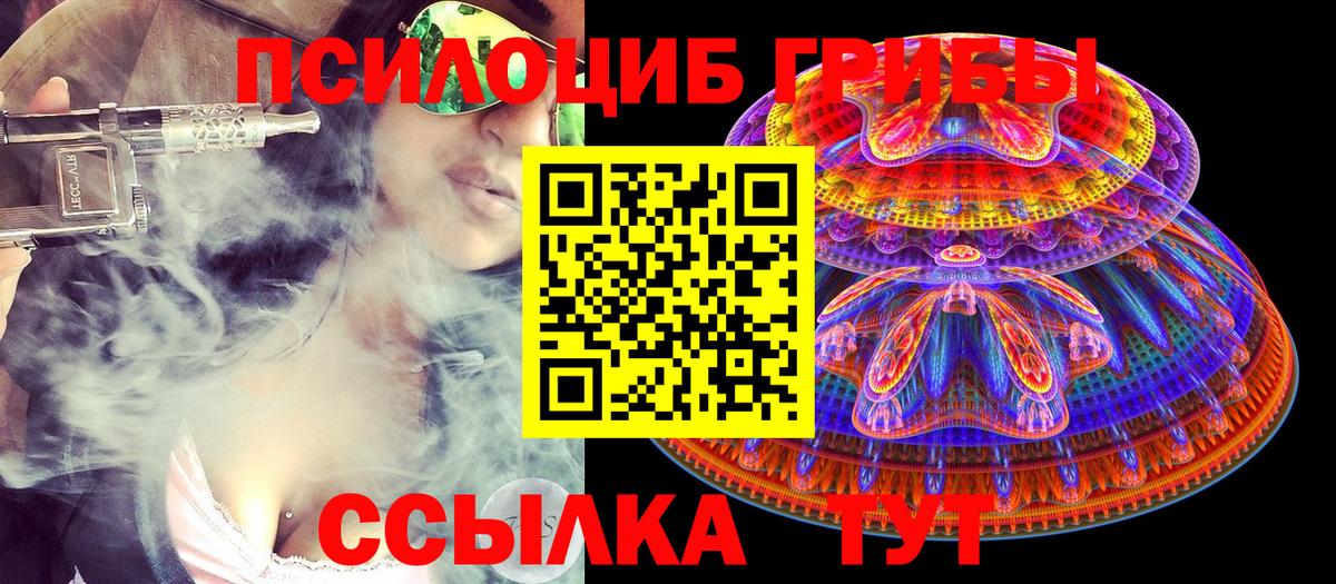 Псилоцибиновые грибы MAGIC MUSHROOMS Кувандык
